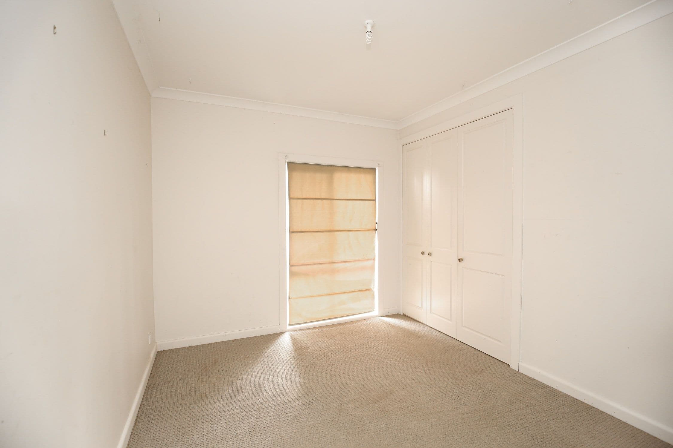 890 Seventeenth Street, Mildura VIC 3500, Mildura - Thumbnail 7