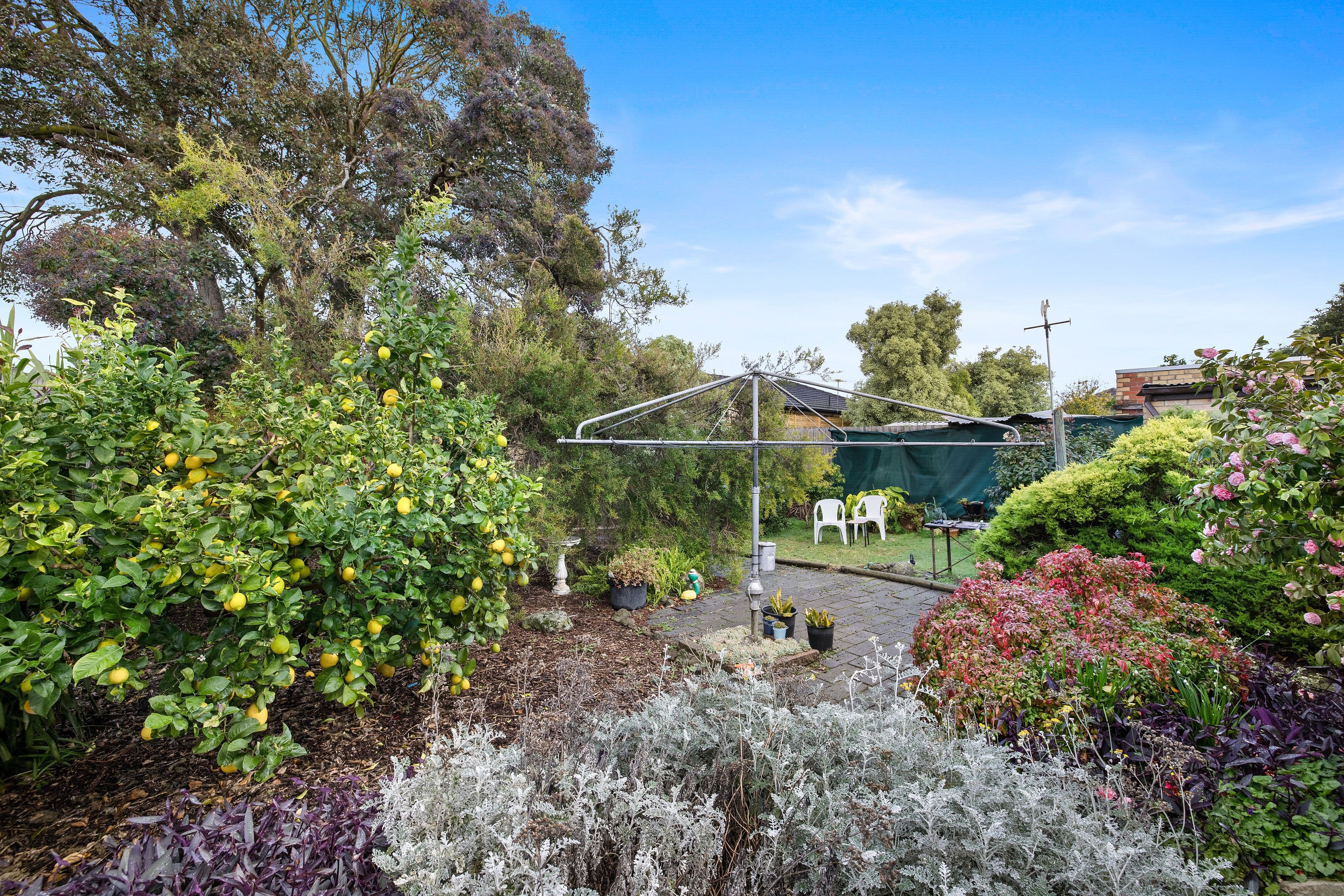 4 Beilby Street, Moorabbin VIC 3189, Moorabbin - Thumbnail 3
