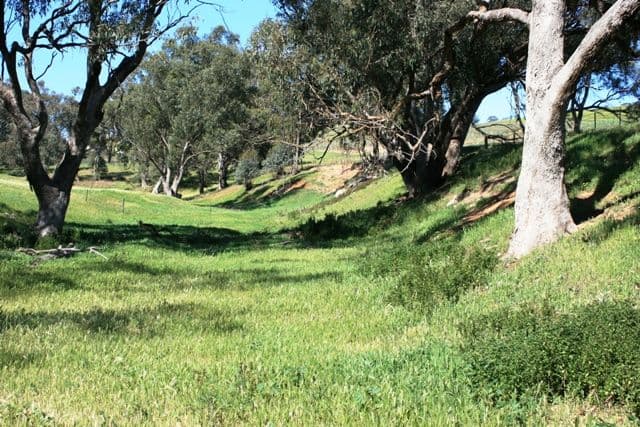 LOT 243 WHITE PARK Road, WIRRABARA SA 5481, Wirrabara - Thumbnail 2