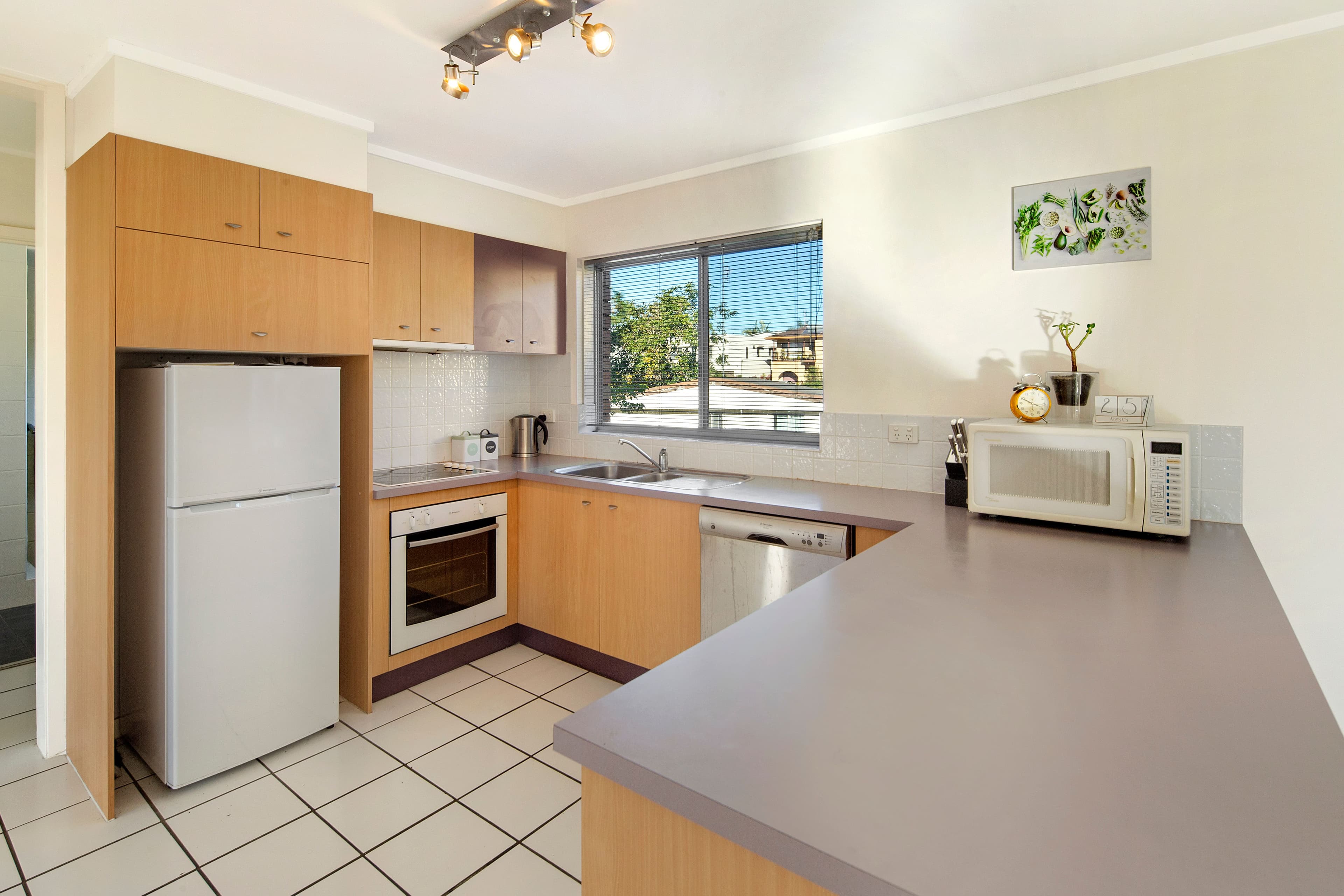 29 Pacific Terrace, Alexandra Headland QLD 4572, Alexandra Headland - Thumbnail 4