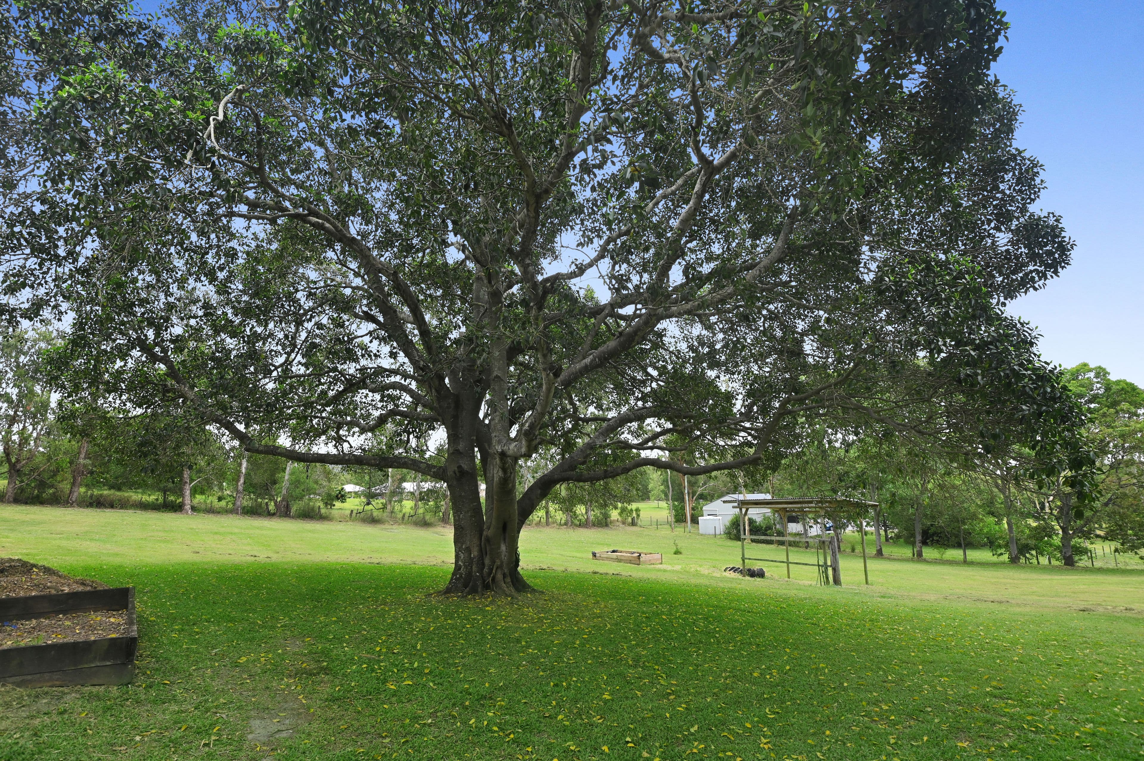 160 Wights Mountain Road, Samford Valley QLD 4520, Samford Valley - Thumbnail 7