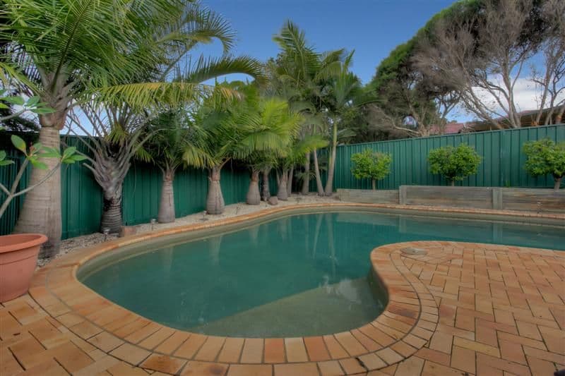 3 Melaleuca Place, WARABROOK NSW 2304, Warabrook - Thumbnail 3
