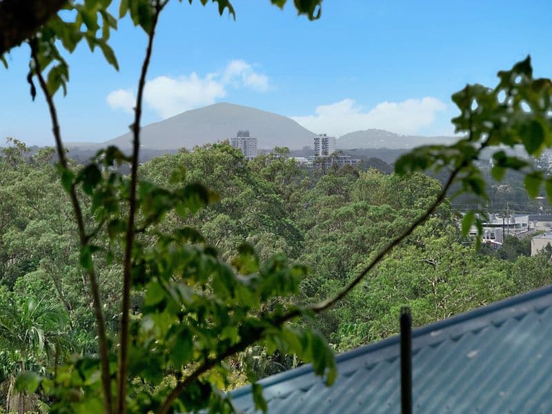 19 Wagtail Close, BUDERIM QLD 4556, Buderim - Thumbnail 2