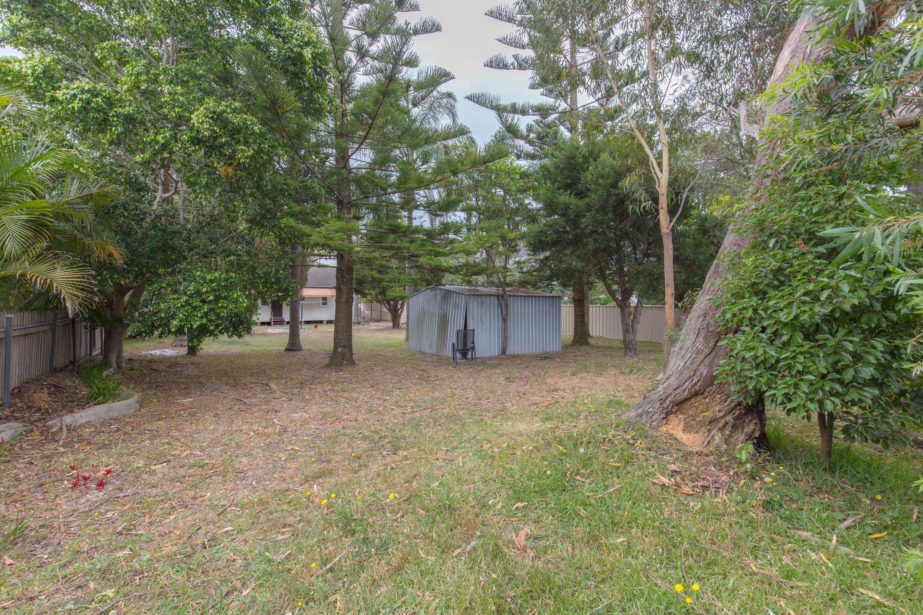 50 Myall Street, Tea Gardens - Thumbnail 3
