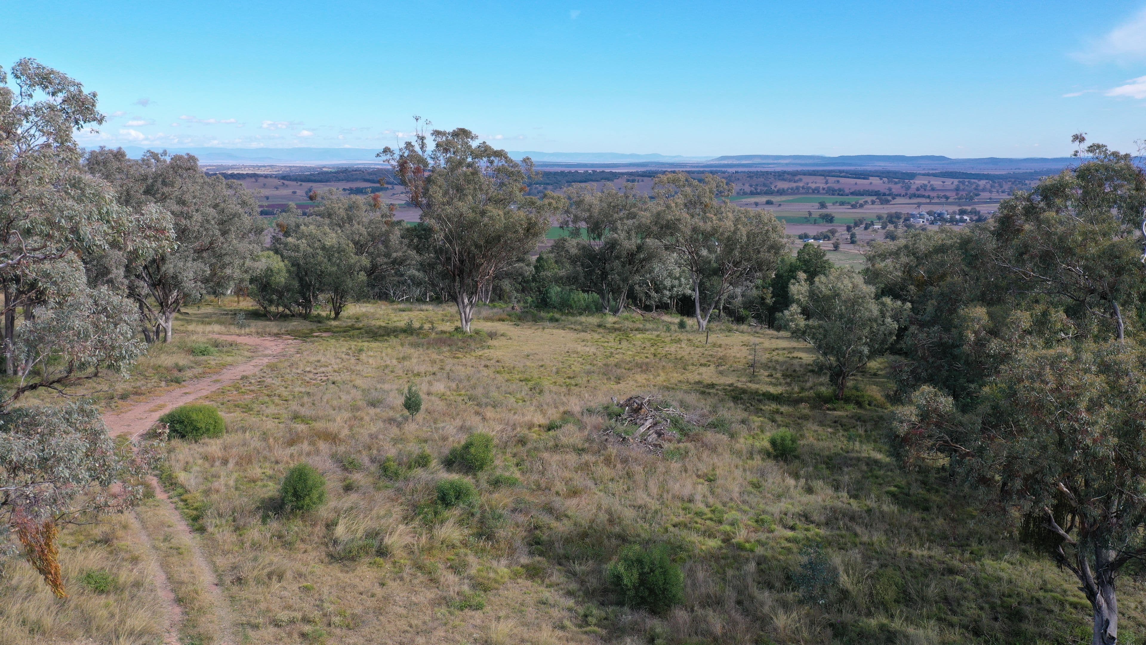 Lot 16 Ray Carter Drive, Quirindi NSW 2343, Quirindi - Thumbnail 4