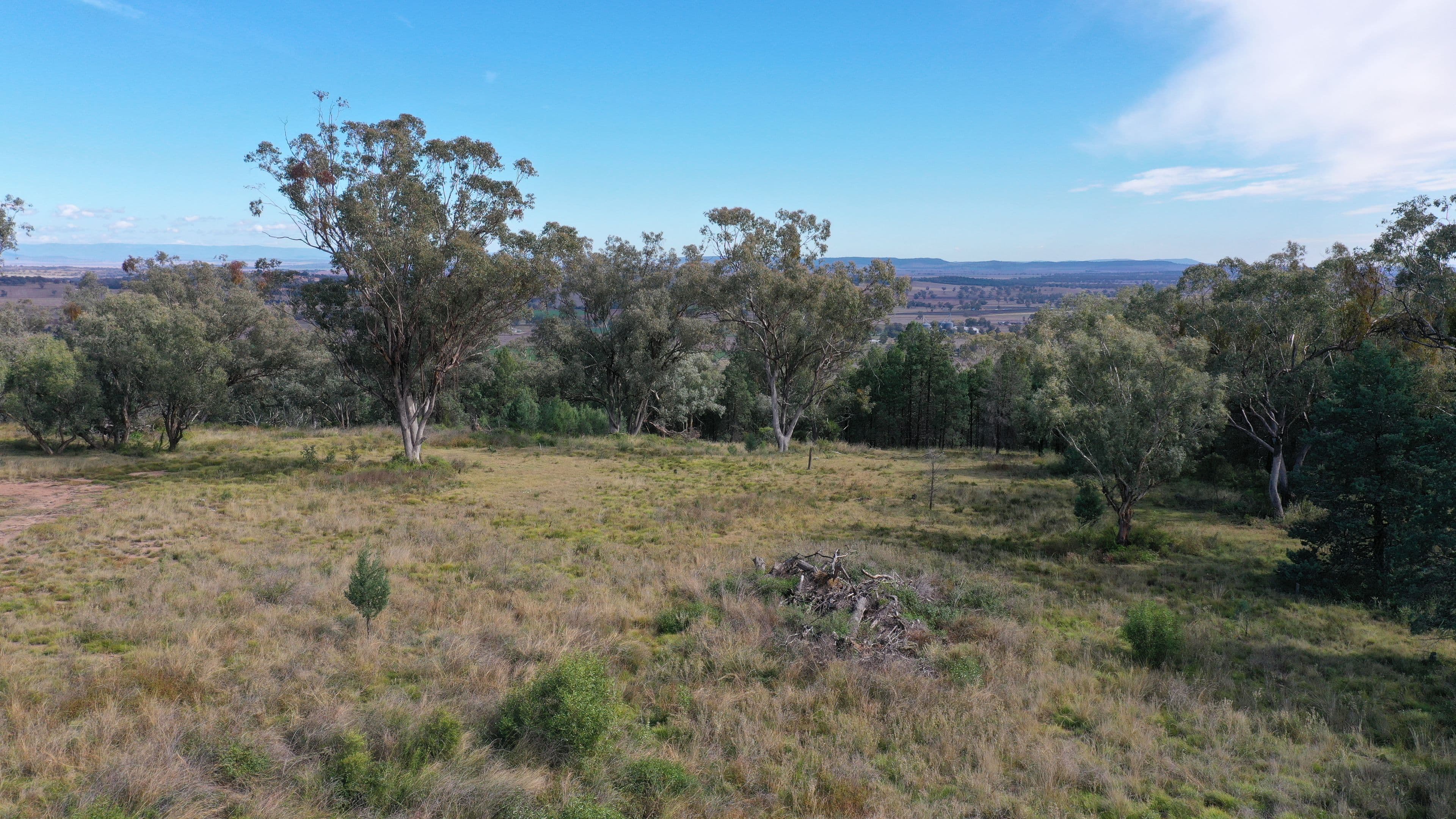 Lot 16 Ray Carter Drive, Quirindi NSW 2343, Quirindi - Thumbnail 6