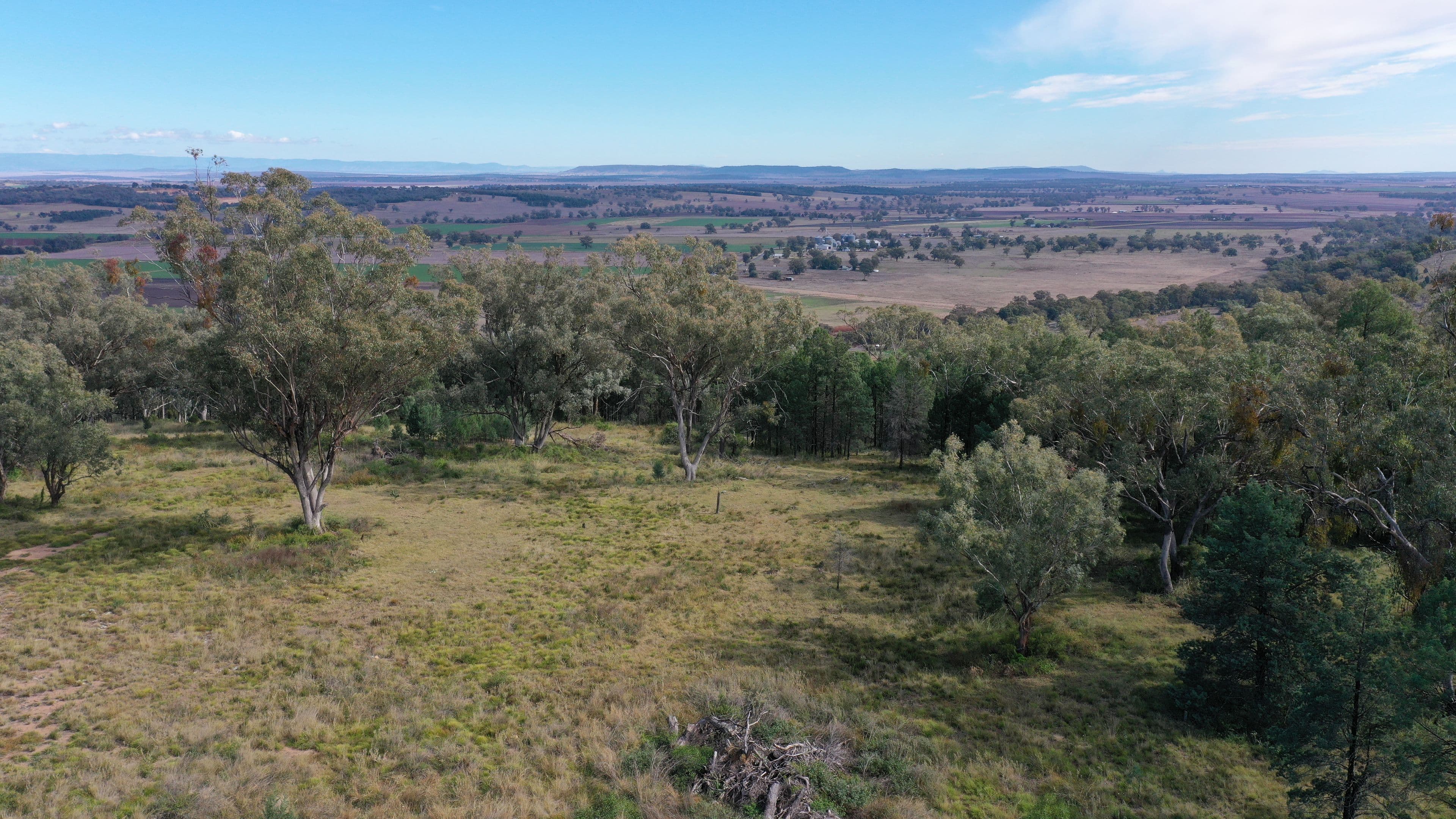 Lot 16 Ray Carter Drive, Quirindi NSW 2343, Quirindi - Thumbnail 7