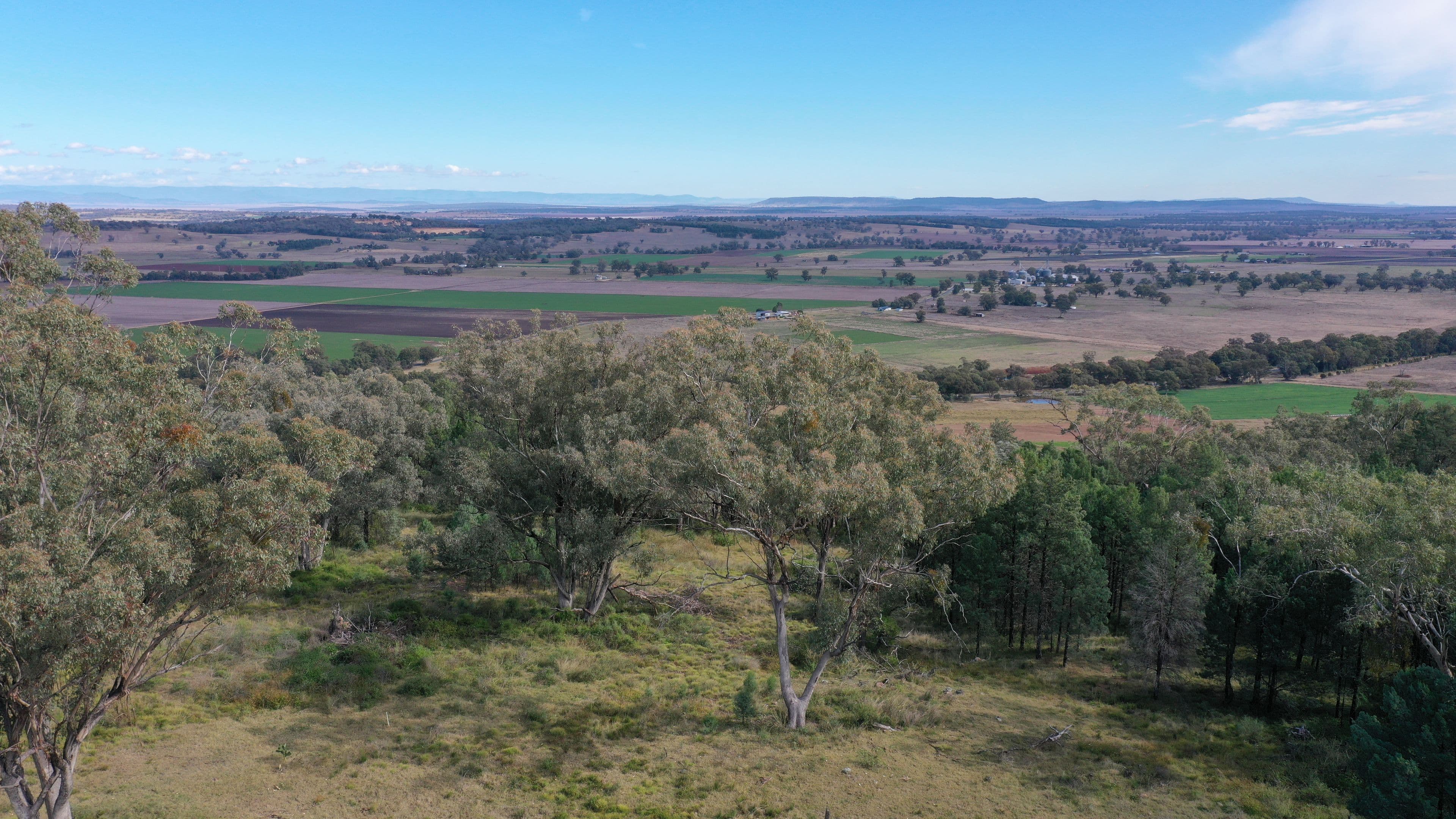 Lot 16 Ray Carter Drive, Quirindi NSW 2343, Quirindi - Thumbnail 8