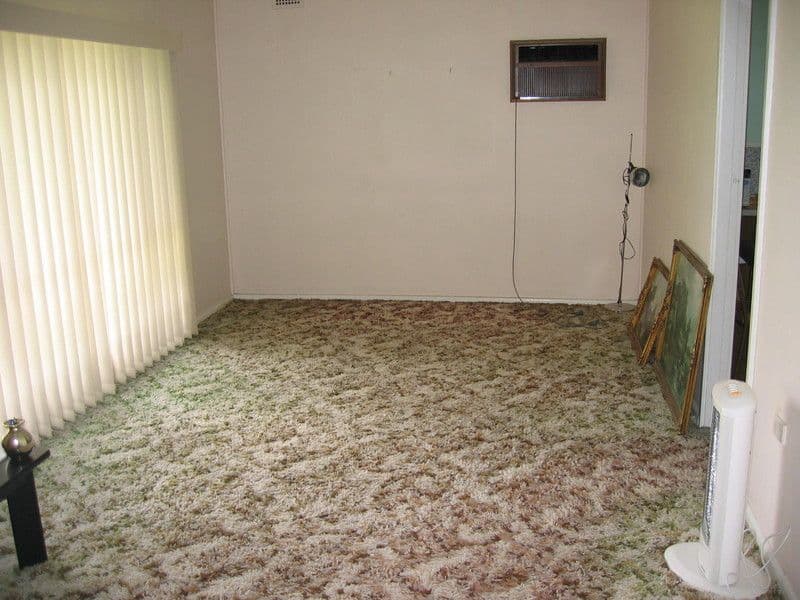 4 Dell Street, WOODPARK NSW 2164, Woodpark - Thumbnail 2