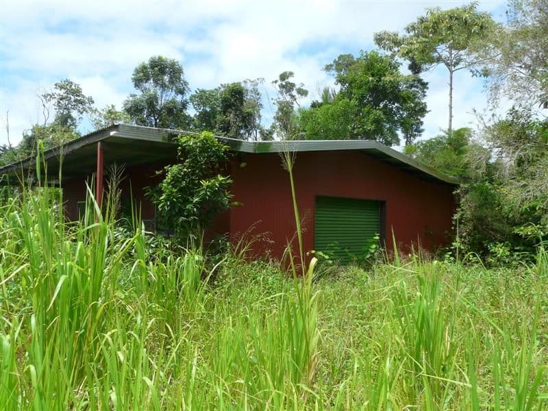 958 Silkwood/Japoon Road, INNISFAIL QLD 4860, Innisfail - Thumbnail 2