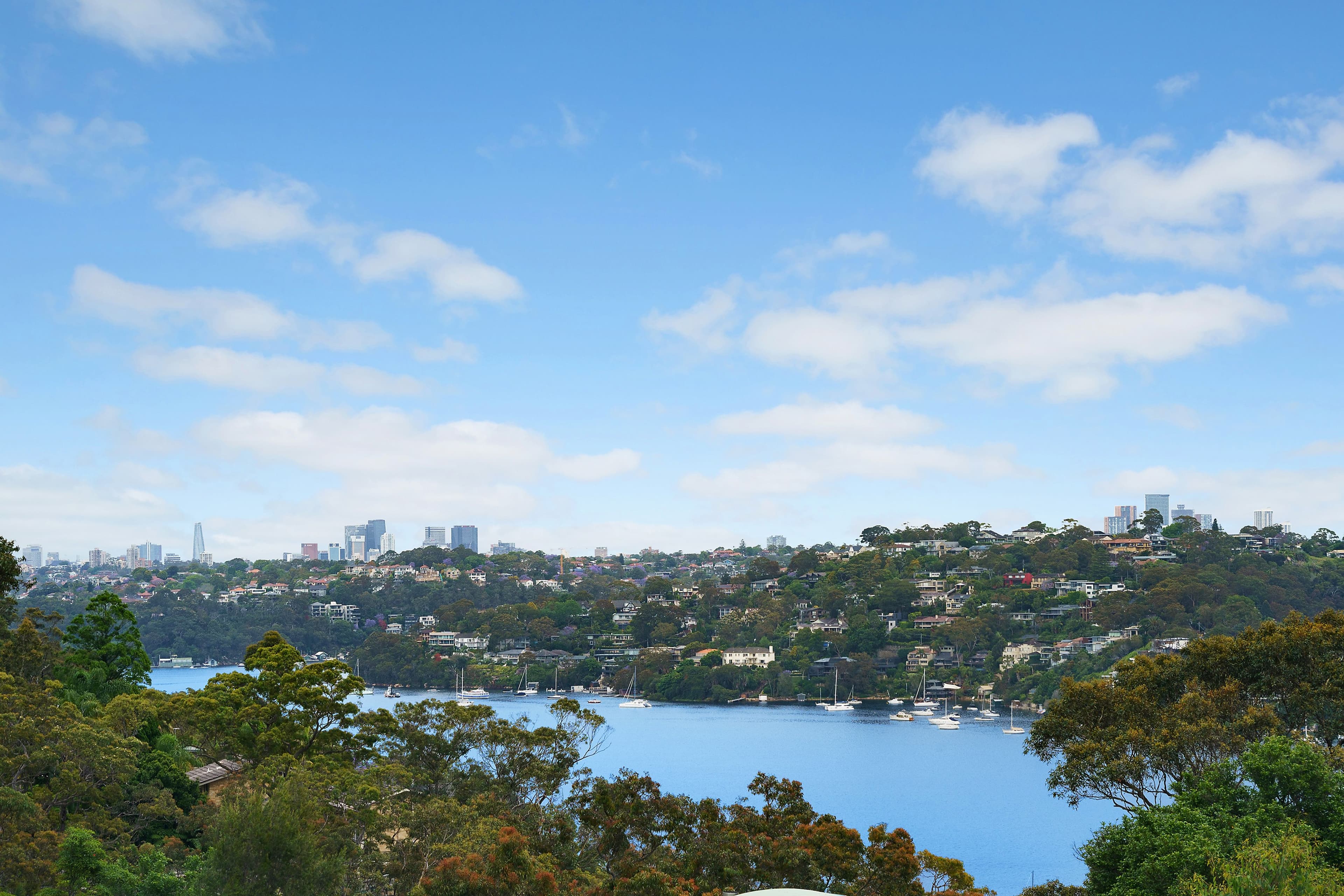 1 Sandra Place, Seaforth NSW 2092, Seaforth - Thumbnail 6