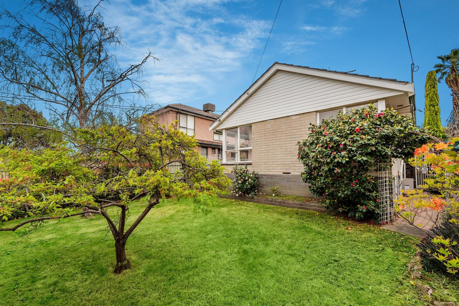 3 Cypress Avenue, Burwood VIC 3125, Burwood - Thumbnail 2