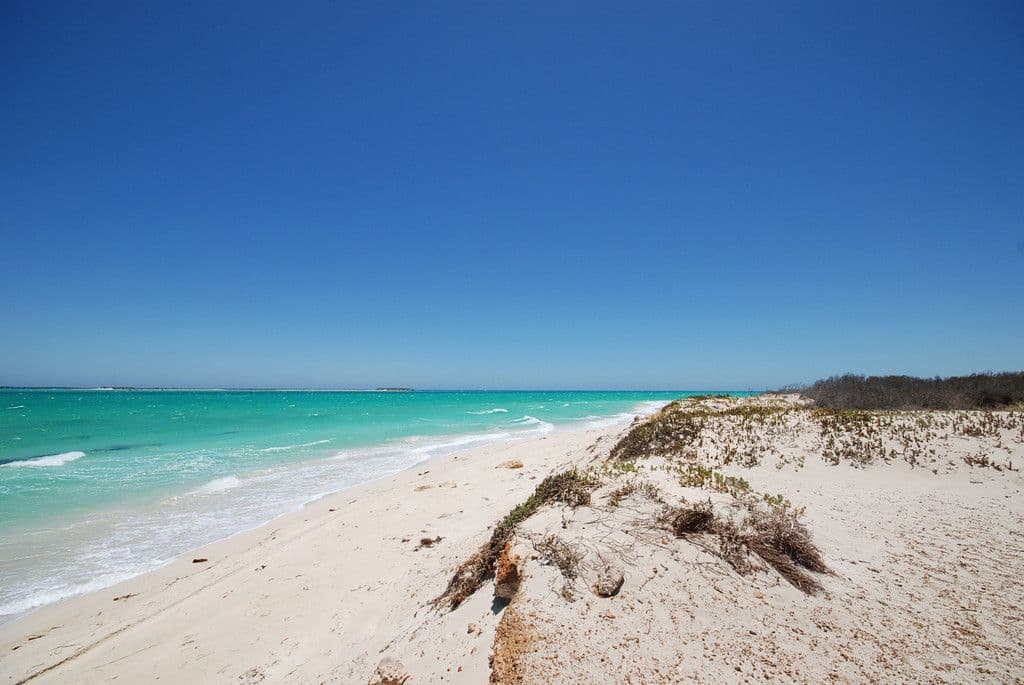 14 Caladenia Way, Jurien Bay WA 6516, Jurien Bay - Image 1