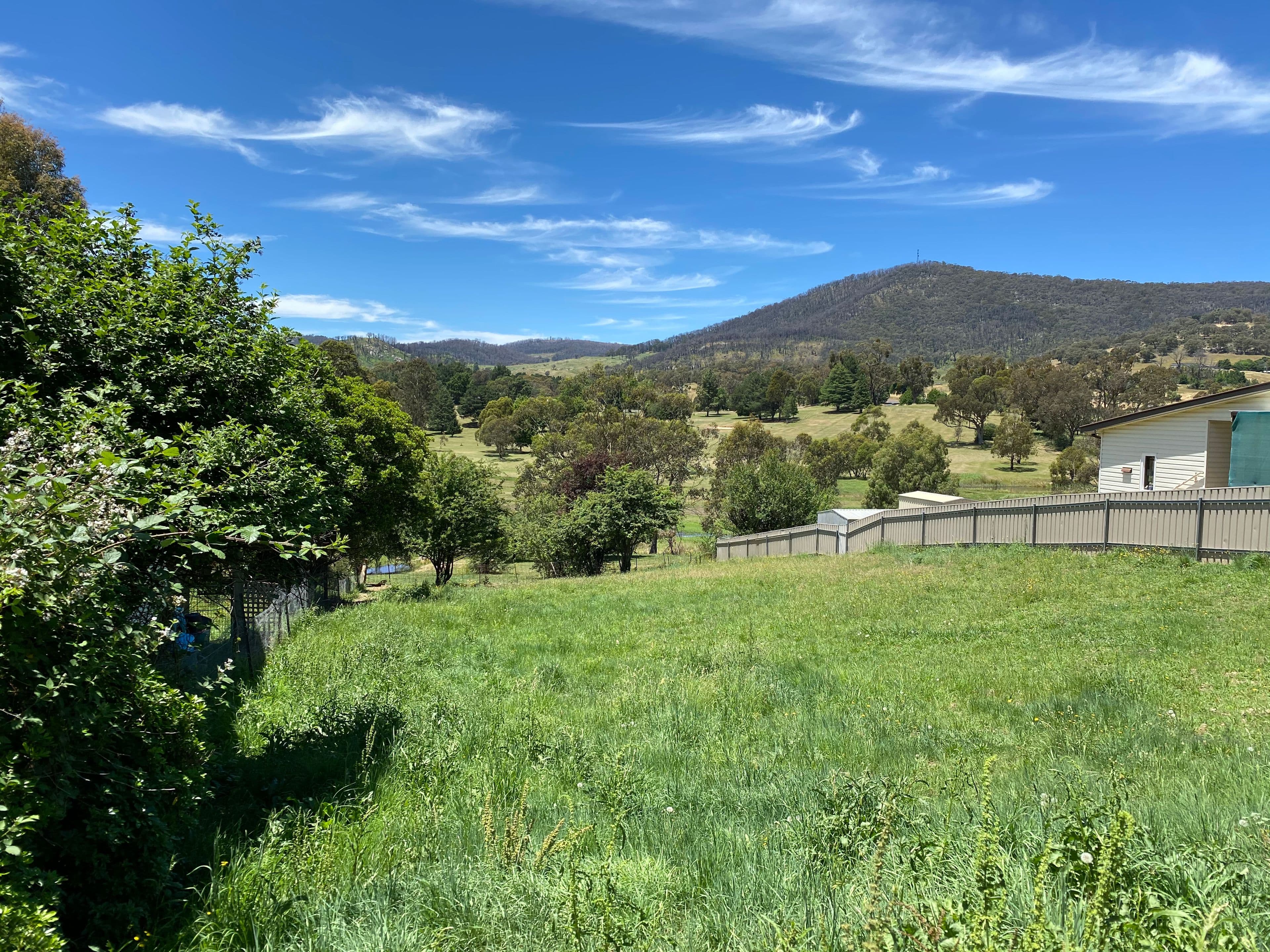 142 Batlow Road, Tumbarumba NSW 2653, Tumbarumba - Thumbnail 2