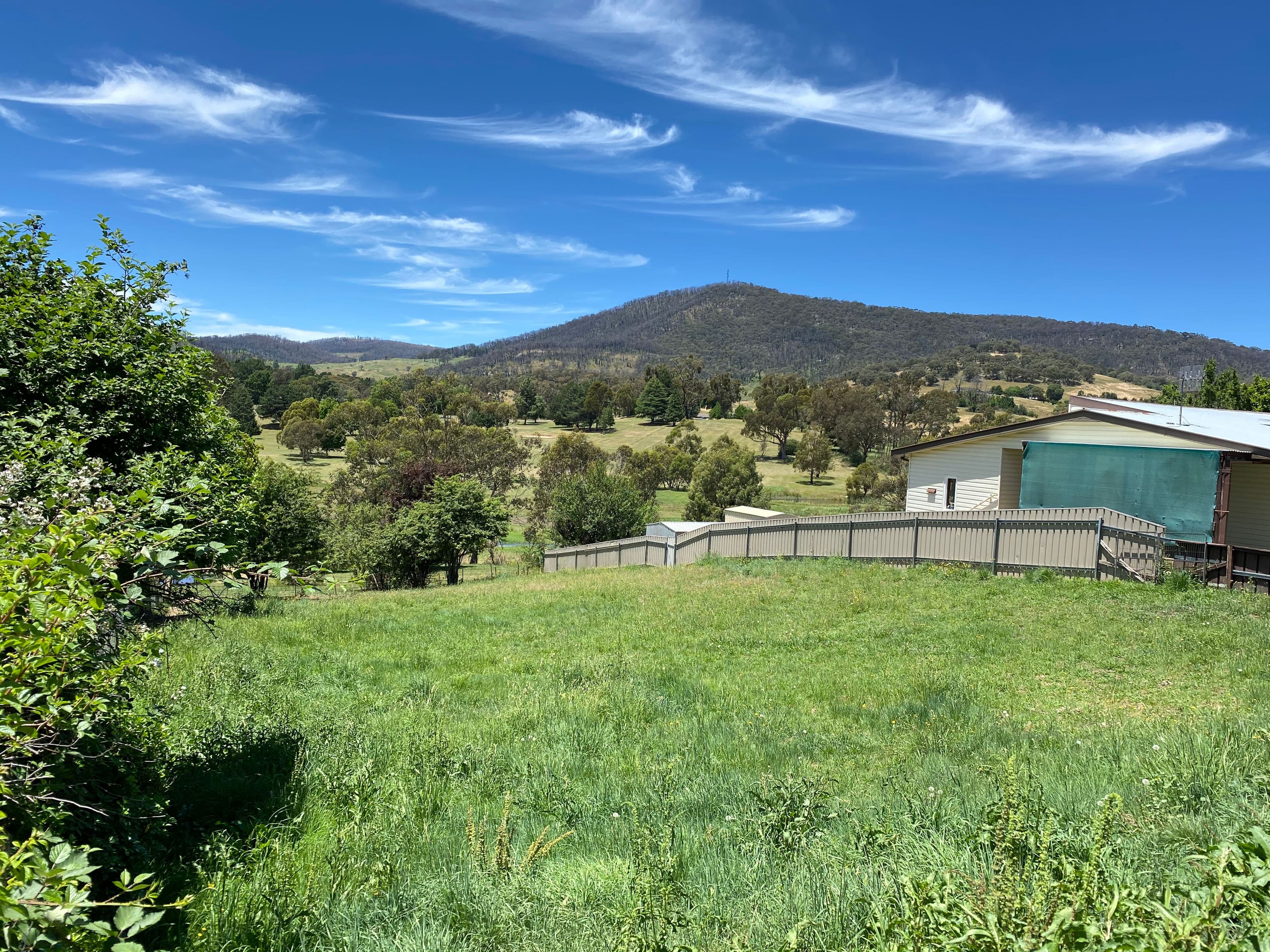 142 Batlow Road, Tumbarumba NSW 2653, Tumbarumba - Thumbnail 3