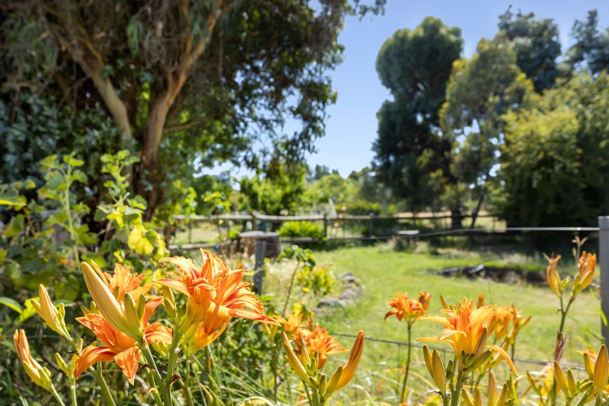 280 Pipers Creek Road, Kyneton VIC 3444, Kyneton - Thumbnail 3