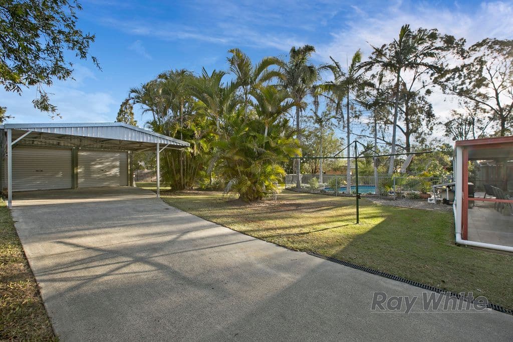 13 Caston Court, BIRKDALE QLD 4159, Birkdale - Thumbnail 4