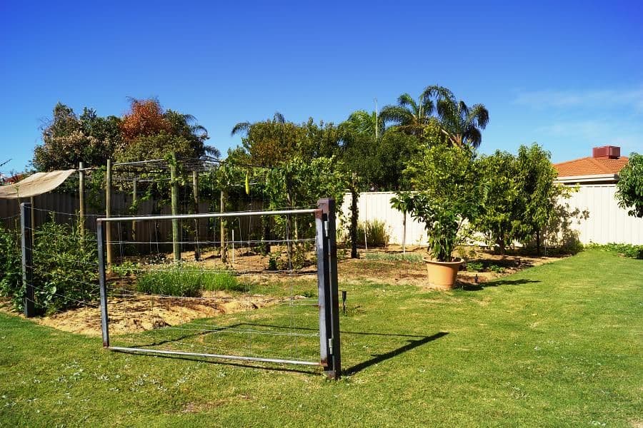 89 Altone Road, LOCKRIDGE WA 6054, Lockridge - Thumbnail 5