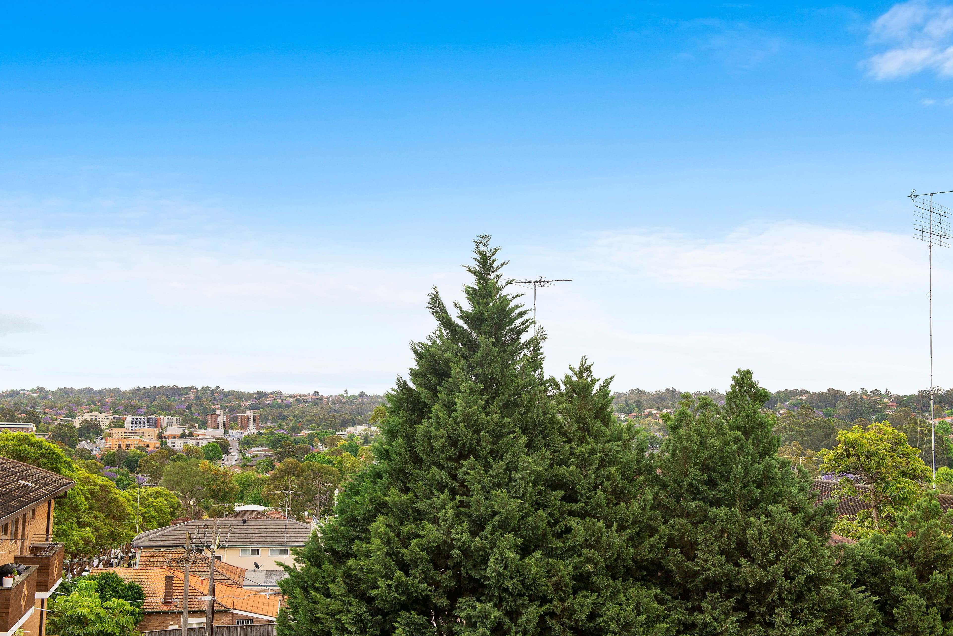 31 Devlin Street, Ryde NSW 2112, Ryde - Thumbnail 7