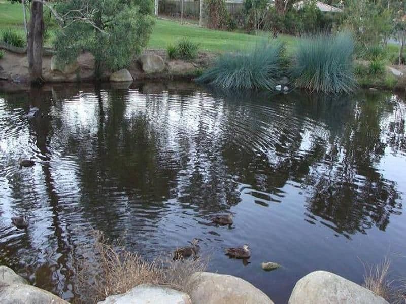 13 Parkwater Close, UPPER KEDRON QLD 4055, Upper Kedron - Thumbnail 7