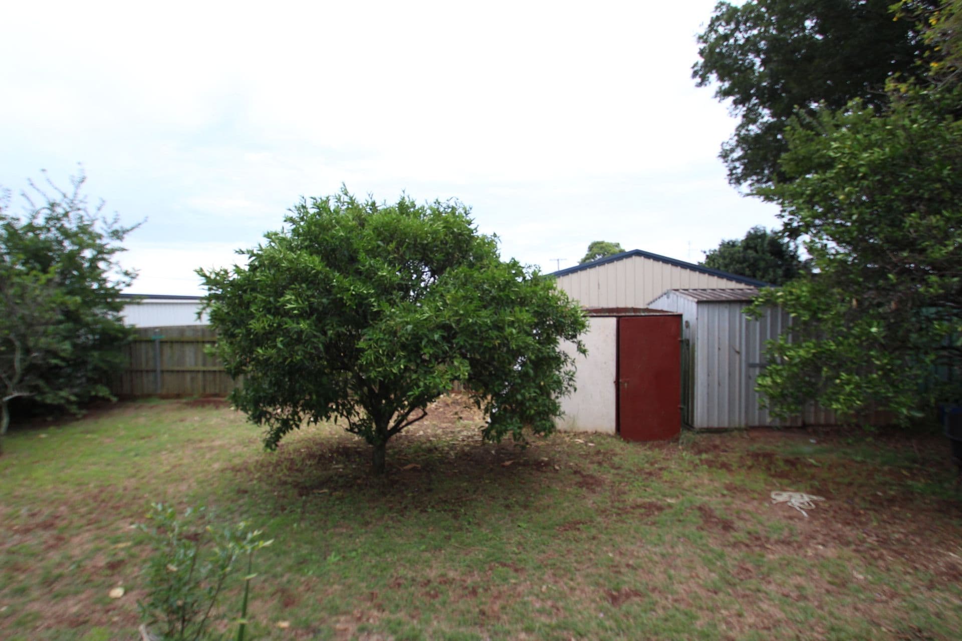 47 Weetwood Street, Toowoomba QLD 4350, Toowoomba - Thumbnail 5