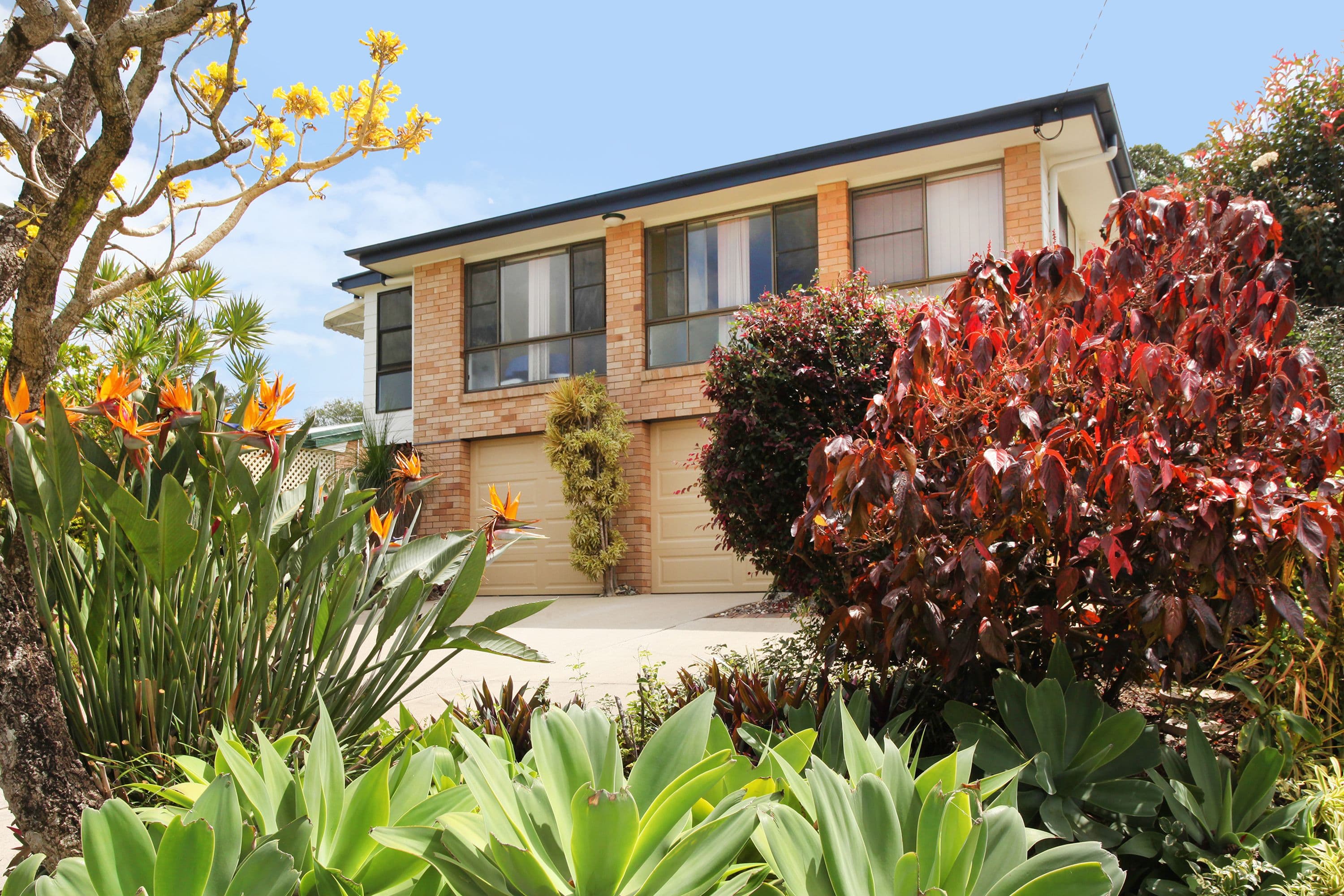 26 Anthony Avenue, Mooloolaba QLD 4557, Mooloolaba - Thumbnail 2