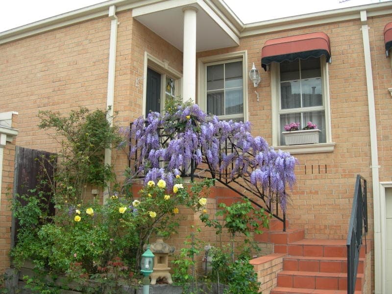 3/40 Finlayson Street, Doncaster, Doncaster - Thumbnail 4