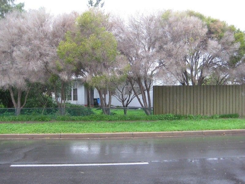 69 Flinders Road, HILLCREST SA 5086, Hillcrest - Image 1