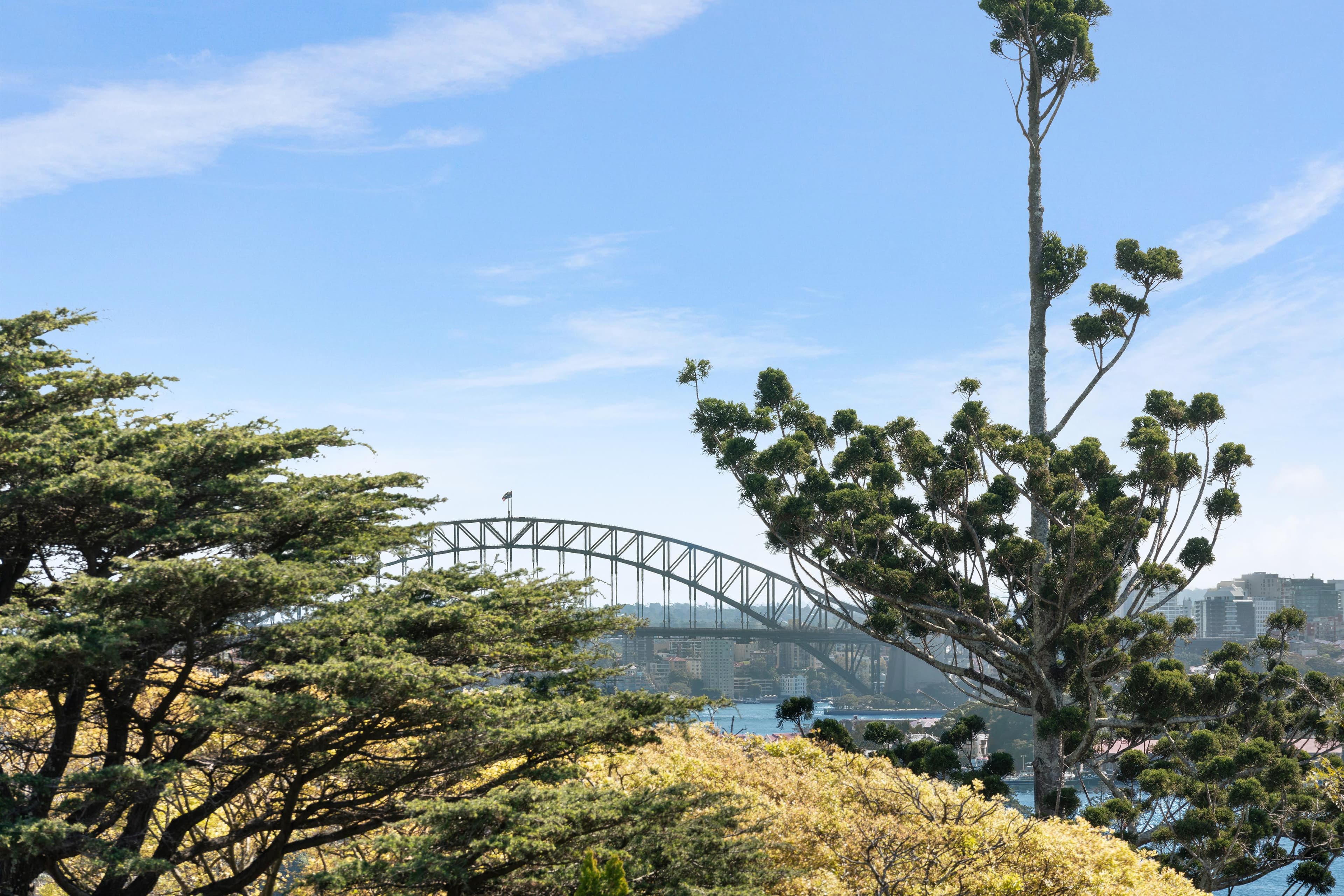 24B Victoria Road, Bellevue Hill NSW 2023, Bellevue Hill - Thumbnail 4