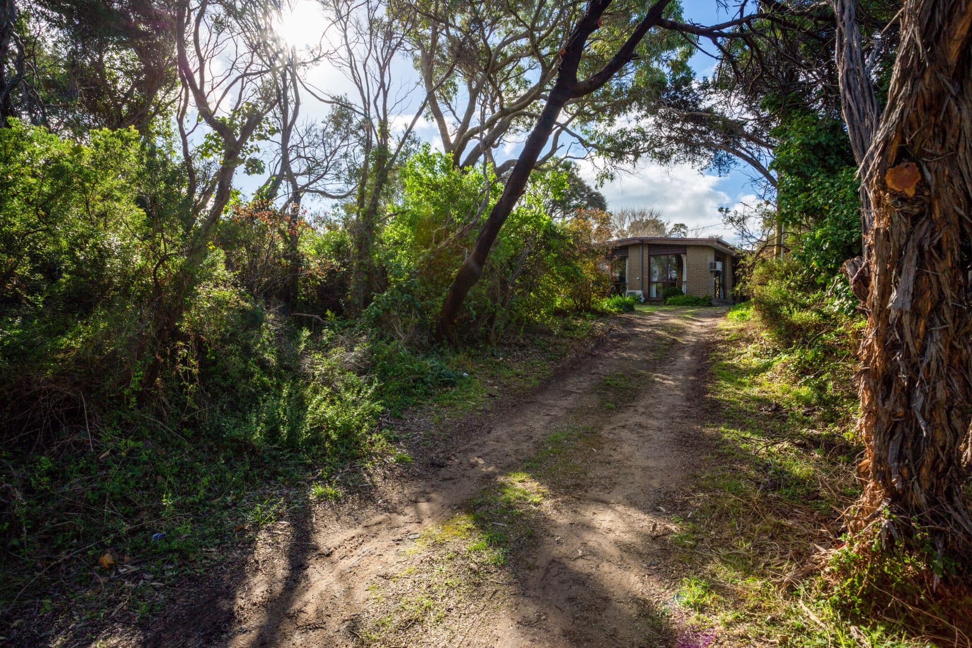 149 Canterbury Jetty Road, Rye VIC 3941, Rye - Thumbnail 3
