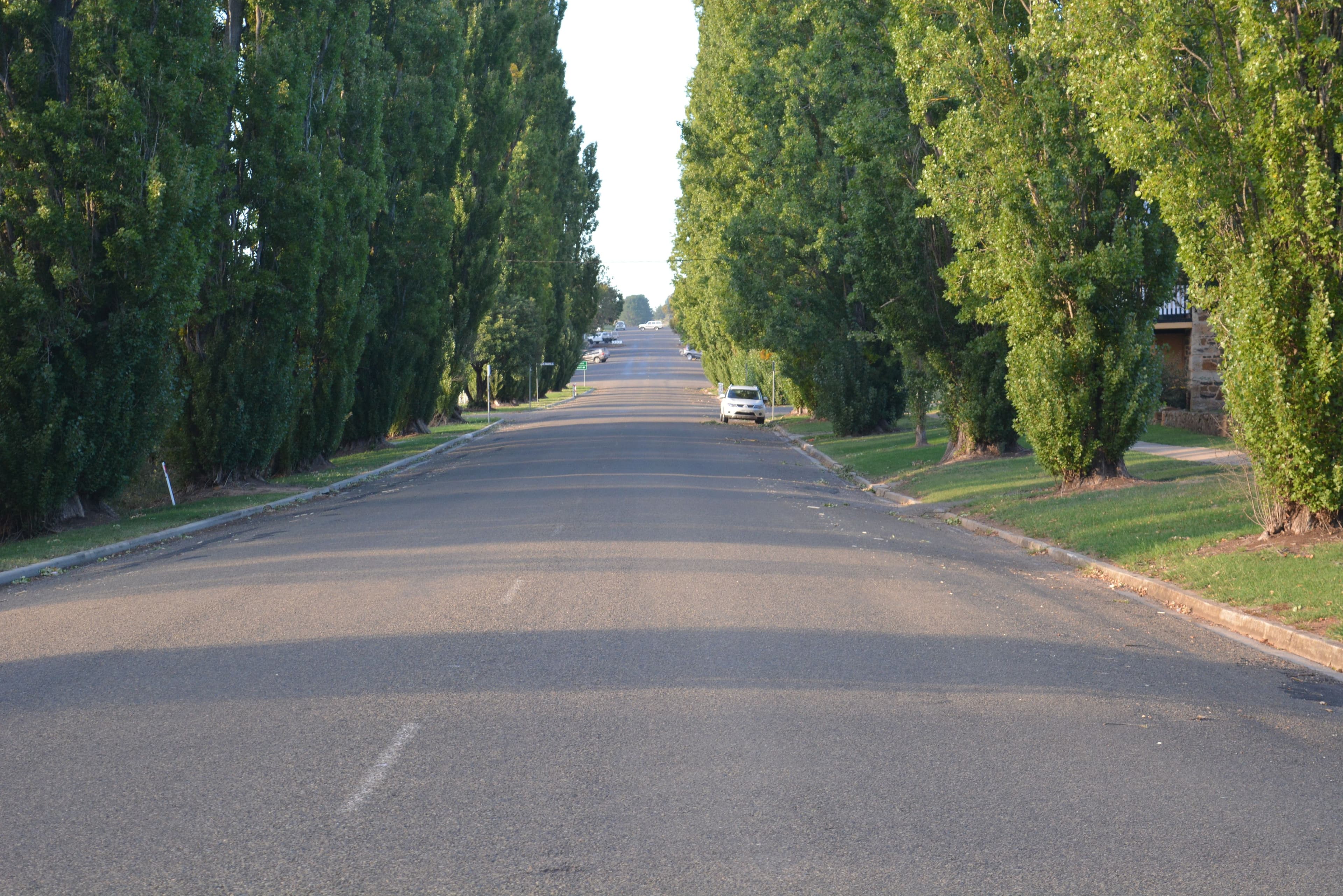 Lot 2 Orchard Street, Taralga NSW 2580, Taralga - Thumbnail 2