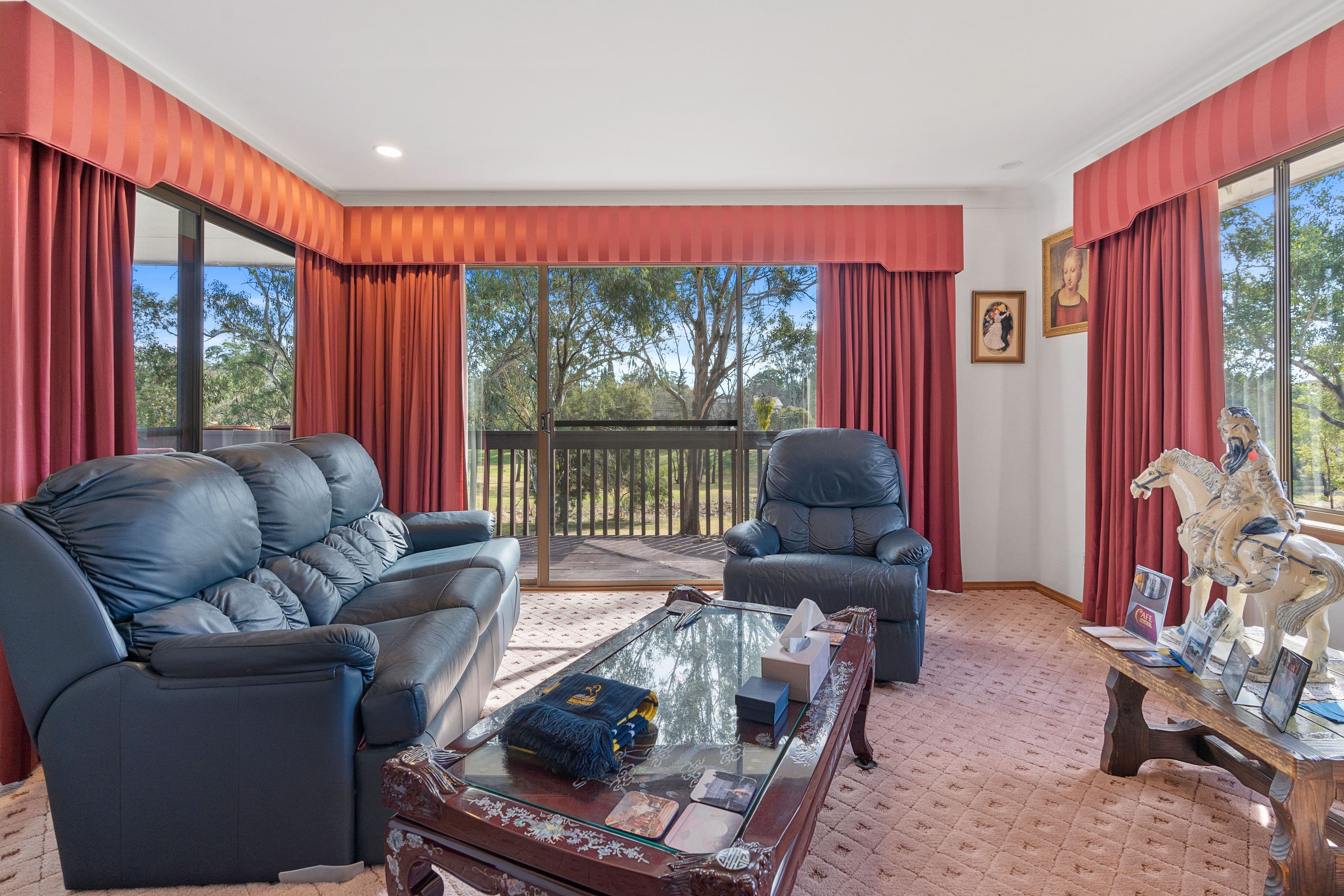 10 Michele Place, Camden South NSW 2570, Camden South - Thumbnail 4