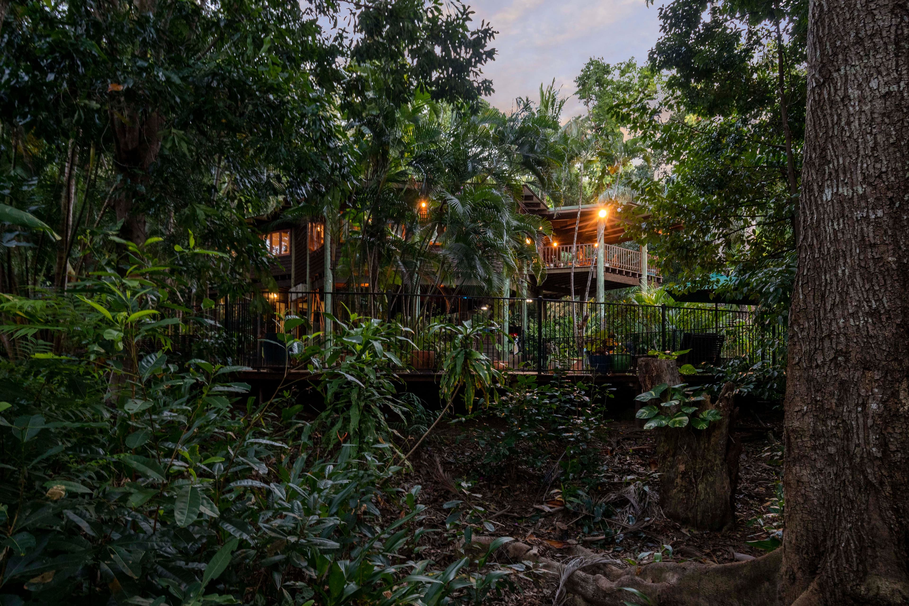 63 Ocean View Road, Port Douglas QLD 4877, Port Douglas - Thumbnail 4