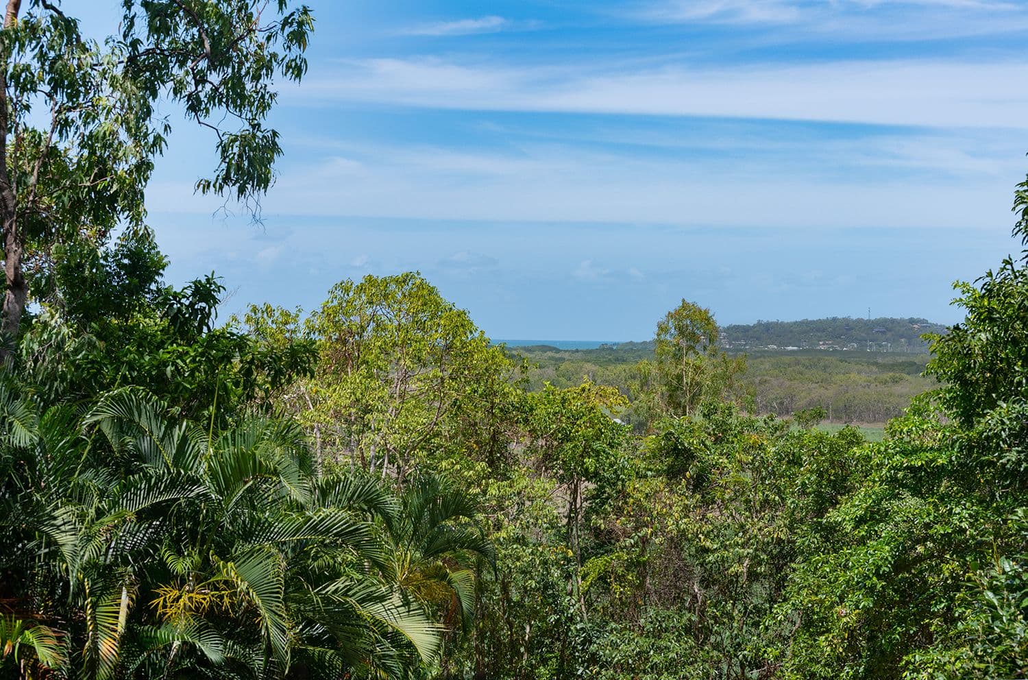 63 Ocean View Road, Port Douglas QLD 4877, Port Douglas - Thumbnail 7