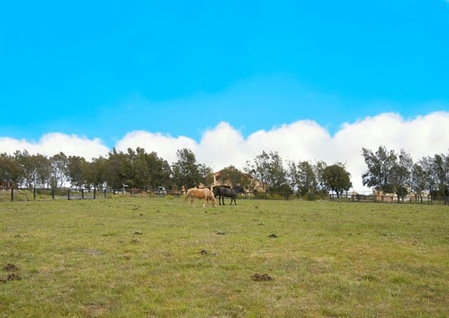 150 The Panorama, MICKLEHAM VIC 3064, Mickleham - Thumbnail 8