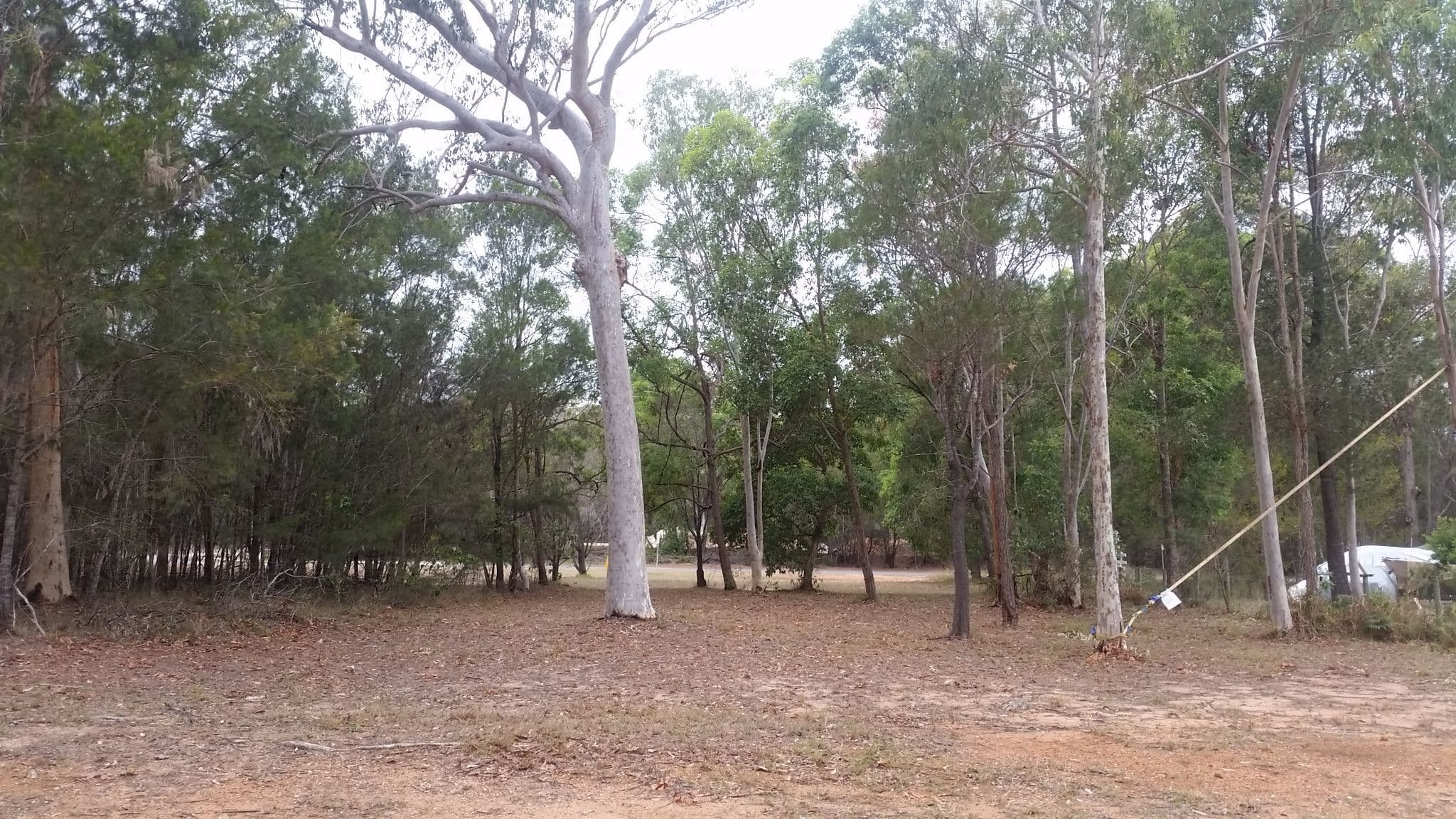 5 Flamingo Street, Russell Island QLD 4184, Russell Island - Image 1