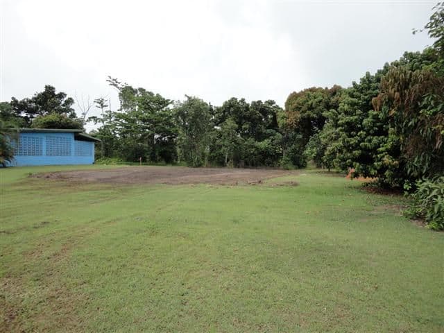 45 Inarlinga Road, Cowley Beach QLD 4871, Cowley Beach - Thumbnail 4