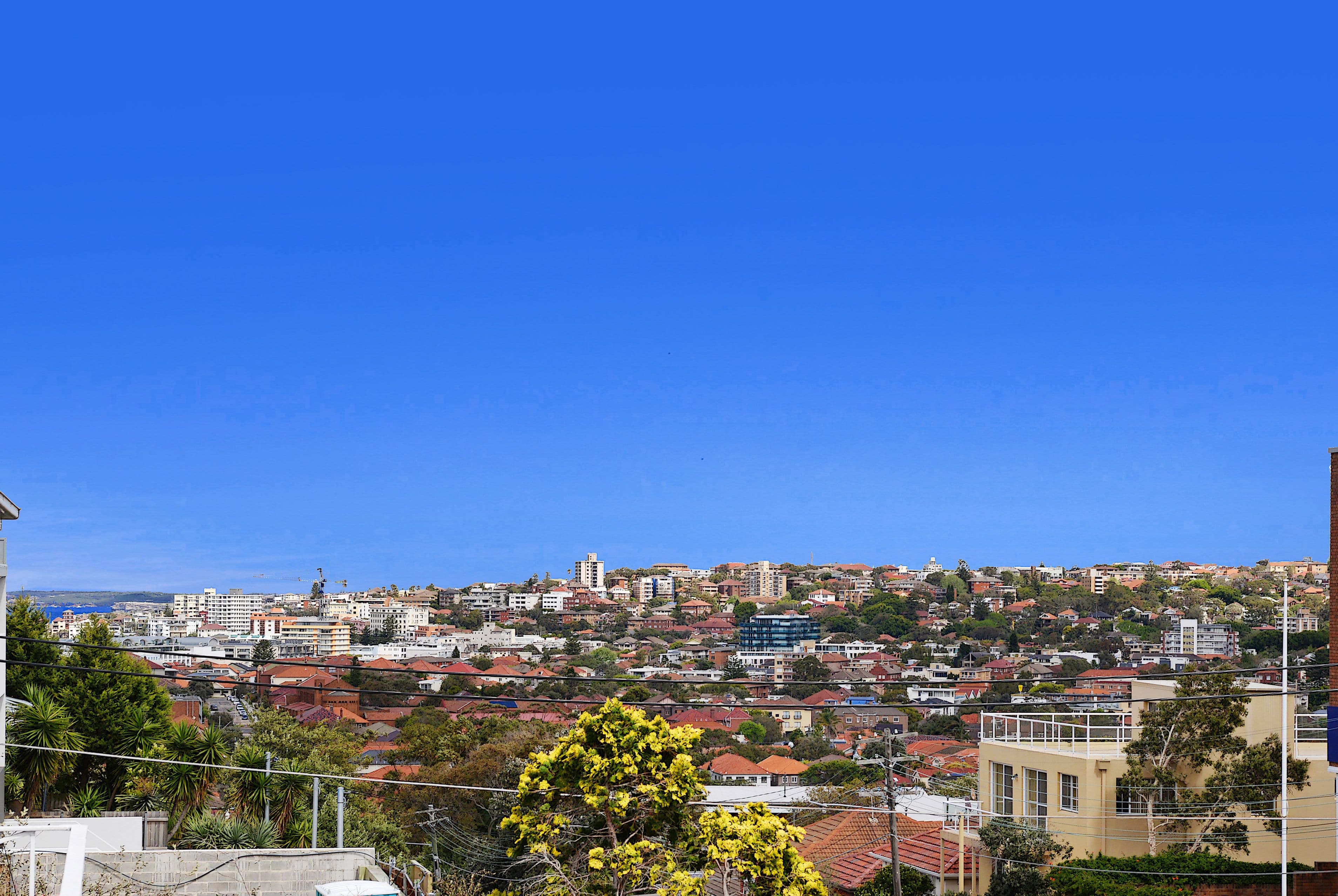43 Hardy Street, Dover Heights - Thumbnail 2