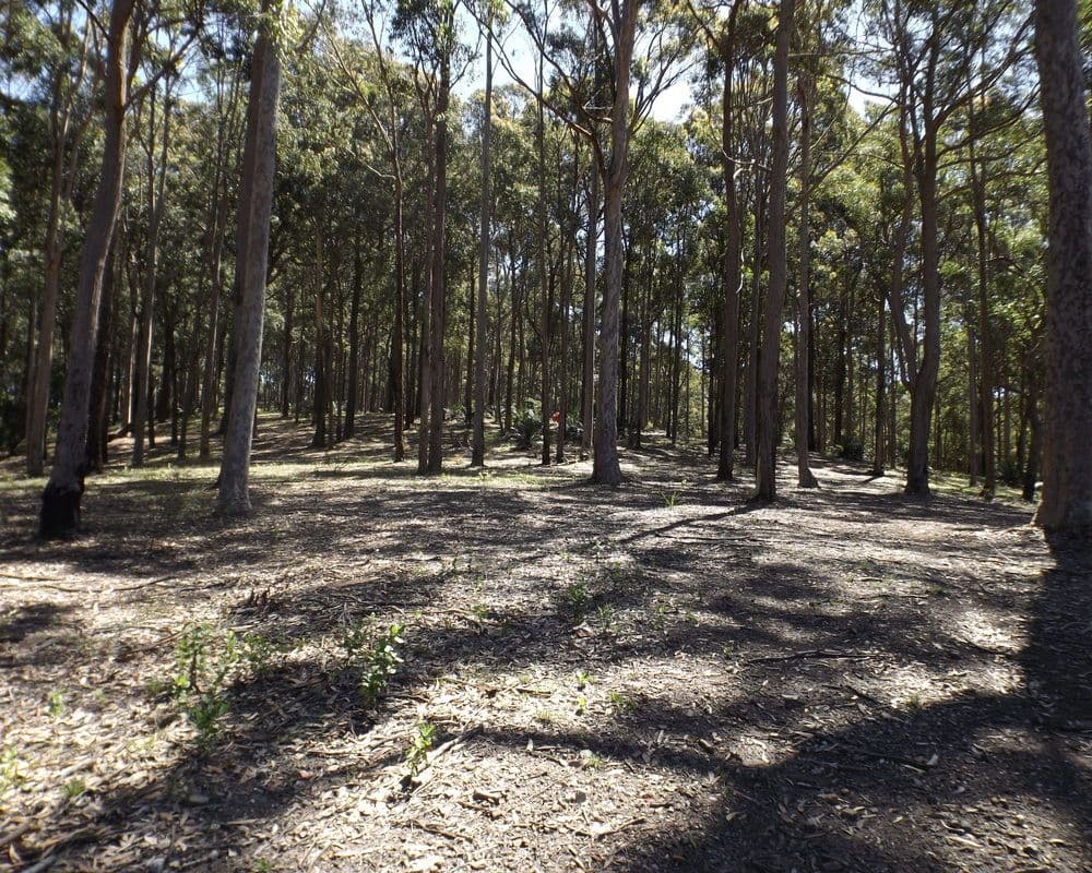 Lot 15 Worthy Drive, Malua Bay NSW 2536, Malua Bay - Thumbnail 4