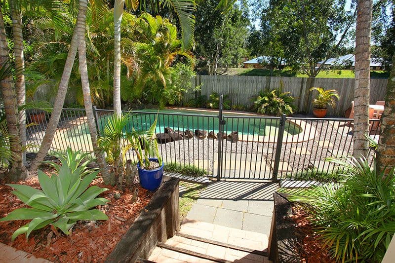 14 Jeune Drive, Buderim QLD 4556, Buderim - Thumbnail 3