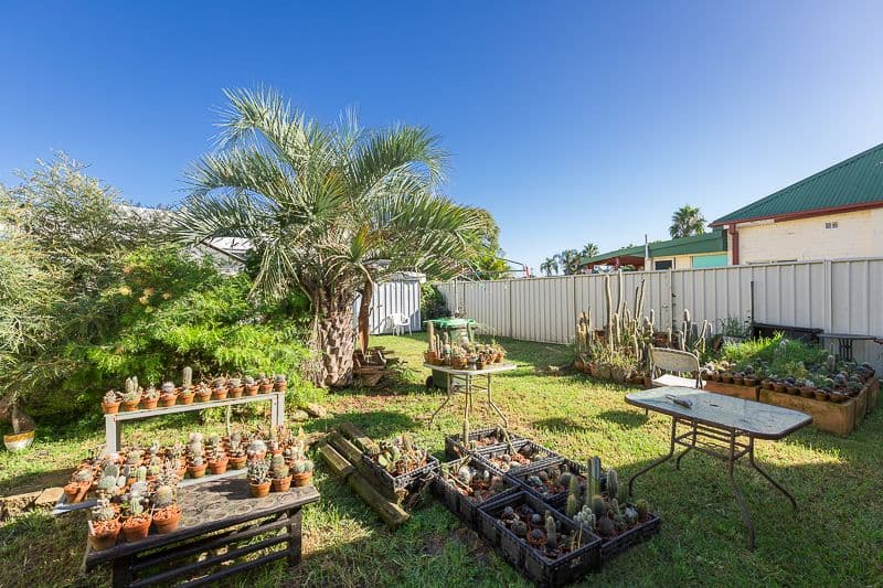 3 View Street, Lake Illawarra NSW 2528, Lake Illawarra - Thumbnail 5