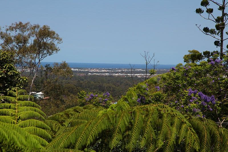 26 Fountain Road, BUDERIM QLD 4556, Buderim - Image 1