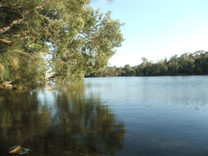 62 Boolagi Drive, WURTULLA QLD 4575, Wurtulla - Thumbnail 4