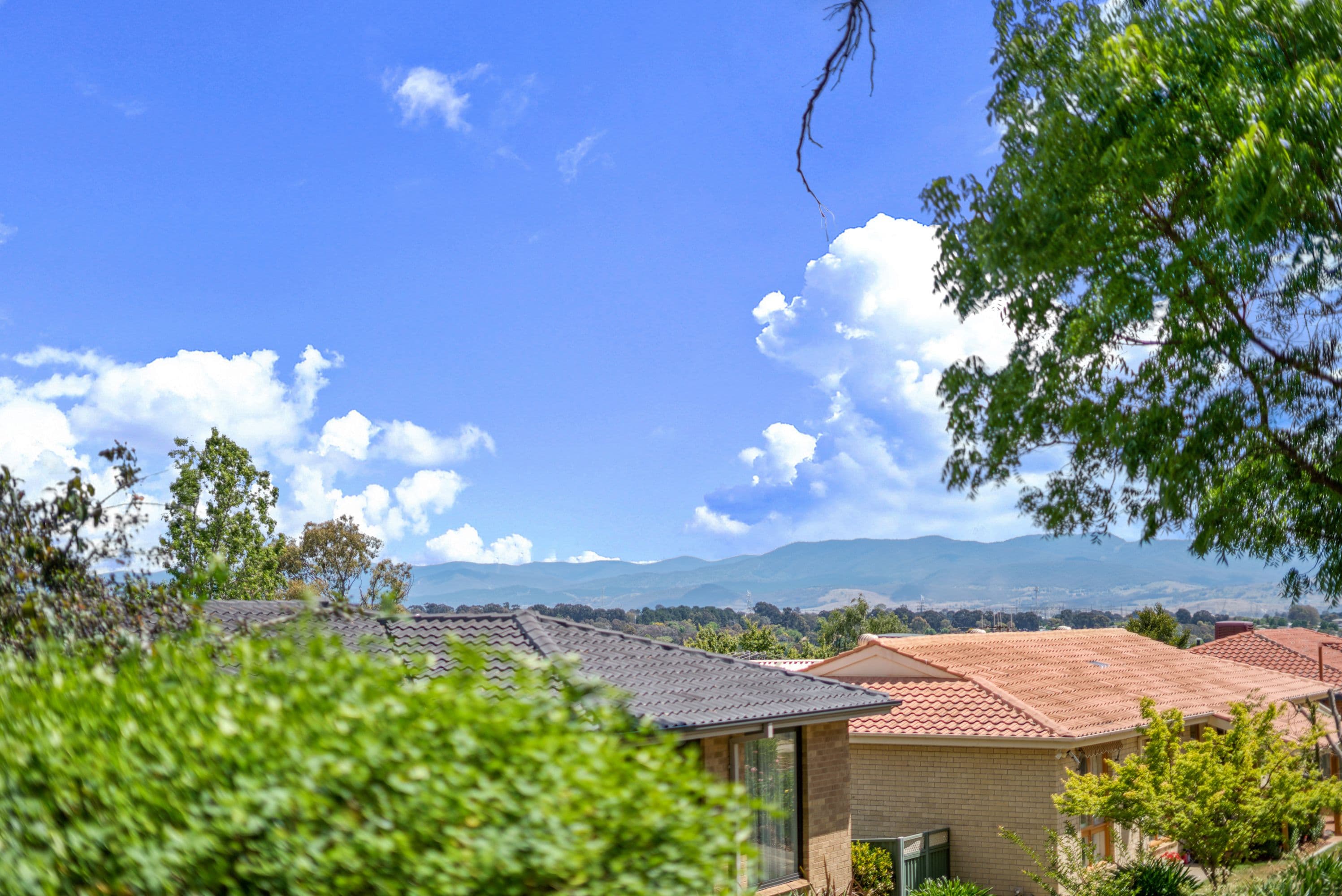 24 Beaney Street, Macgregor ACT 2615, Macgregor - Image 1