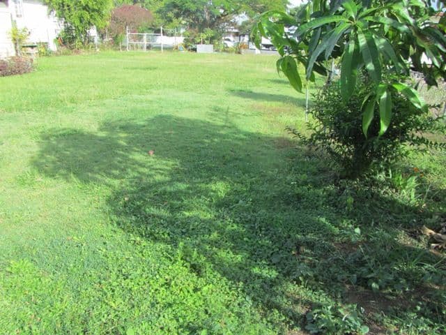 9 Russell Street, Caboolture QLD 4510, Caboolture - Thumbnail 2