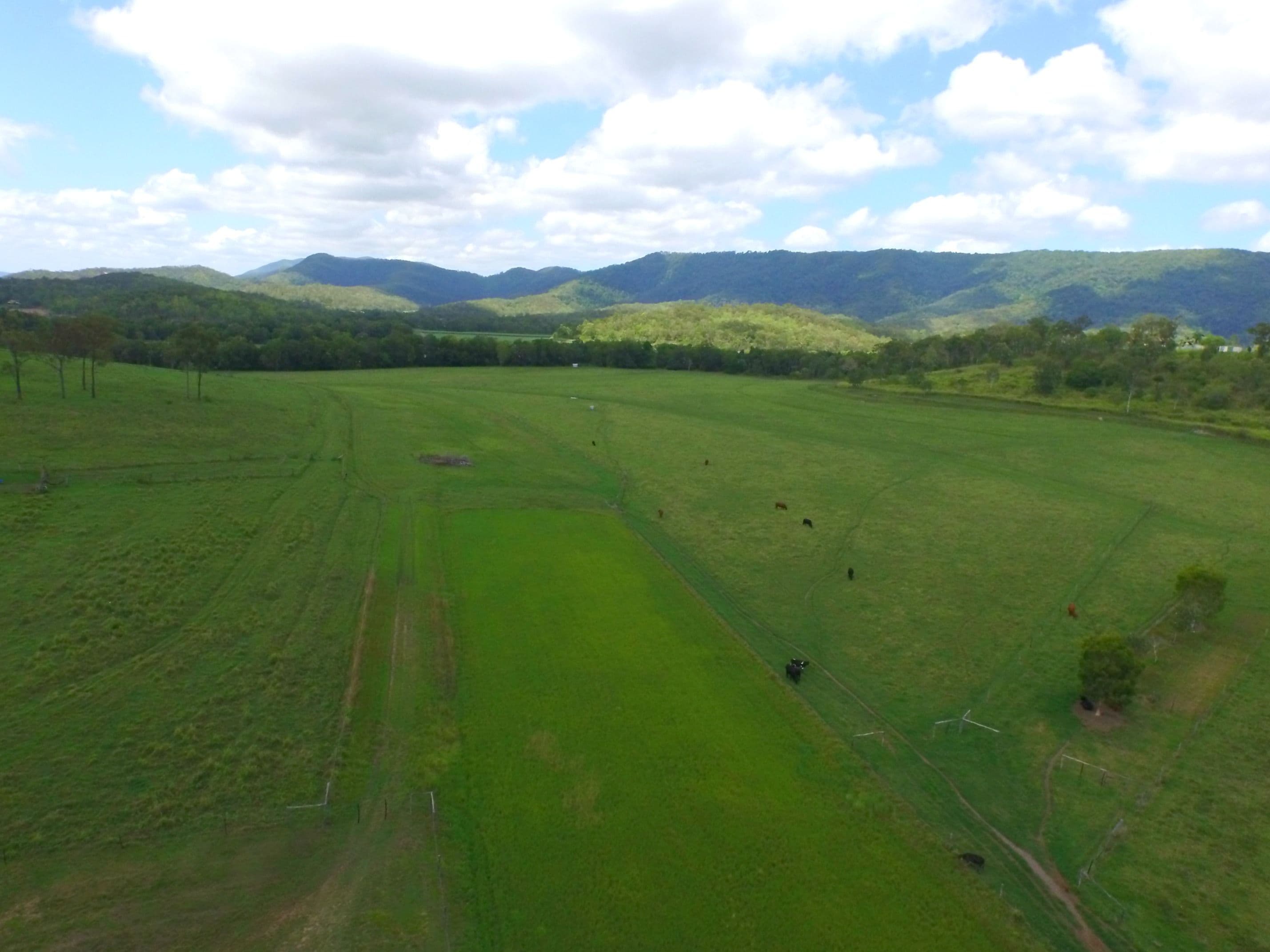 90055 Bruce Highway, Sarina QLD 4737, Sarina - Thumbnail 6