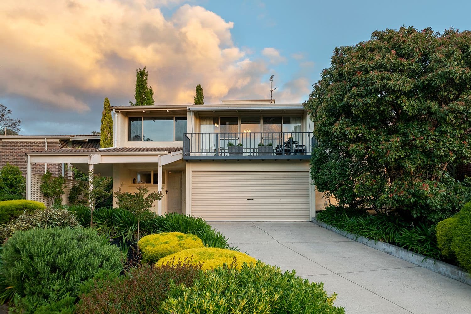 29 Wyfield Street, Wattle Park SA 5066, Wattle Park - Thumbnail 2