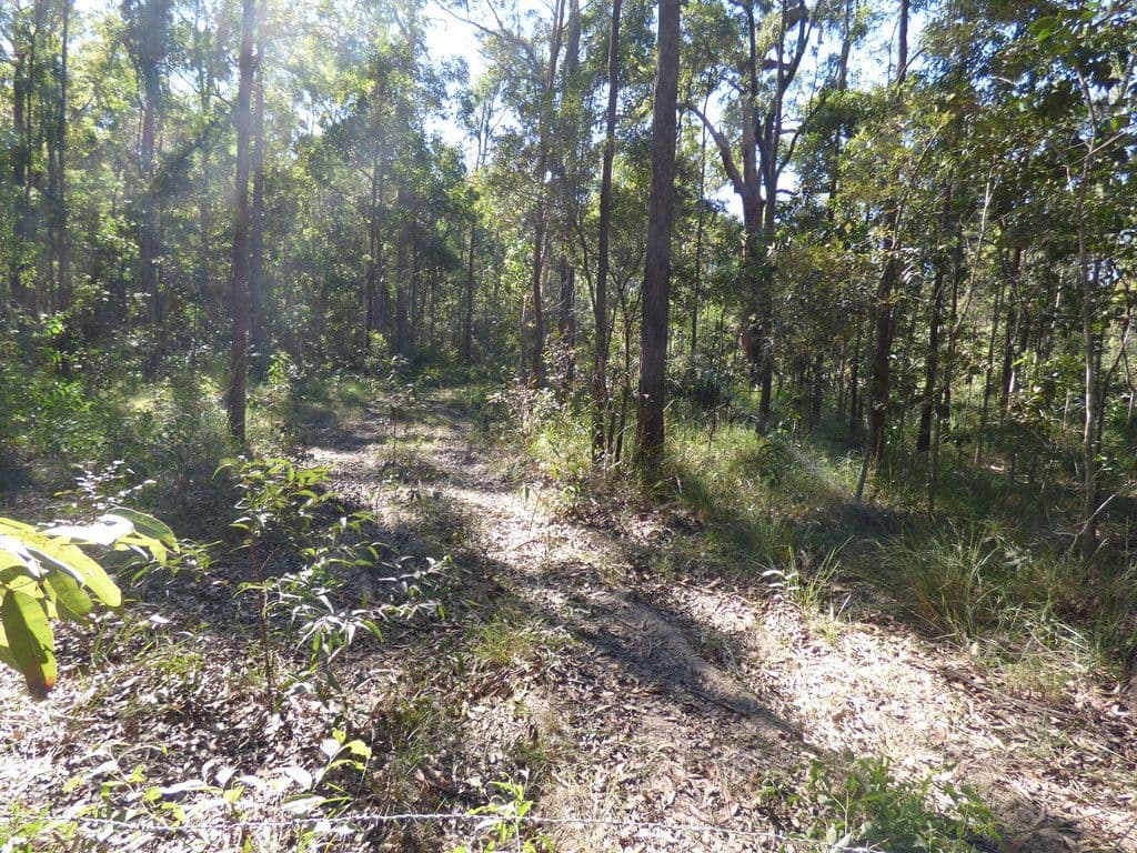 863-889 Old Gympie Road, Elimbah QLD 4516, Elimbah - Thumbnail 3