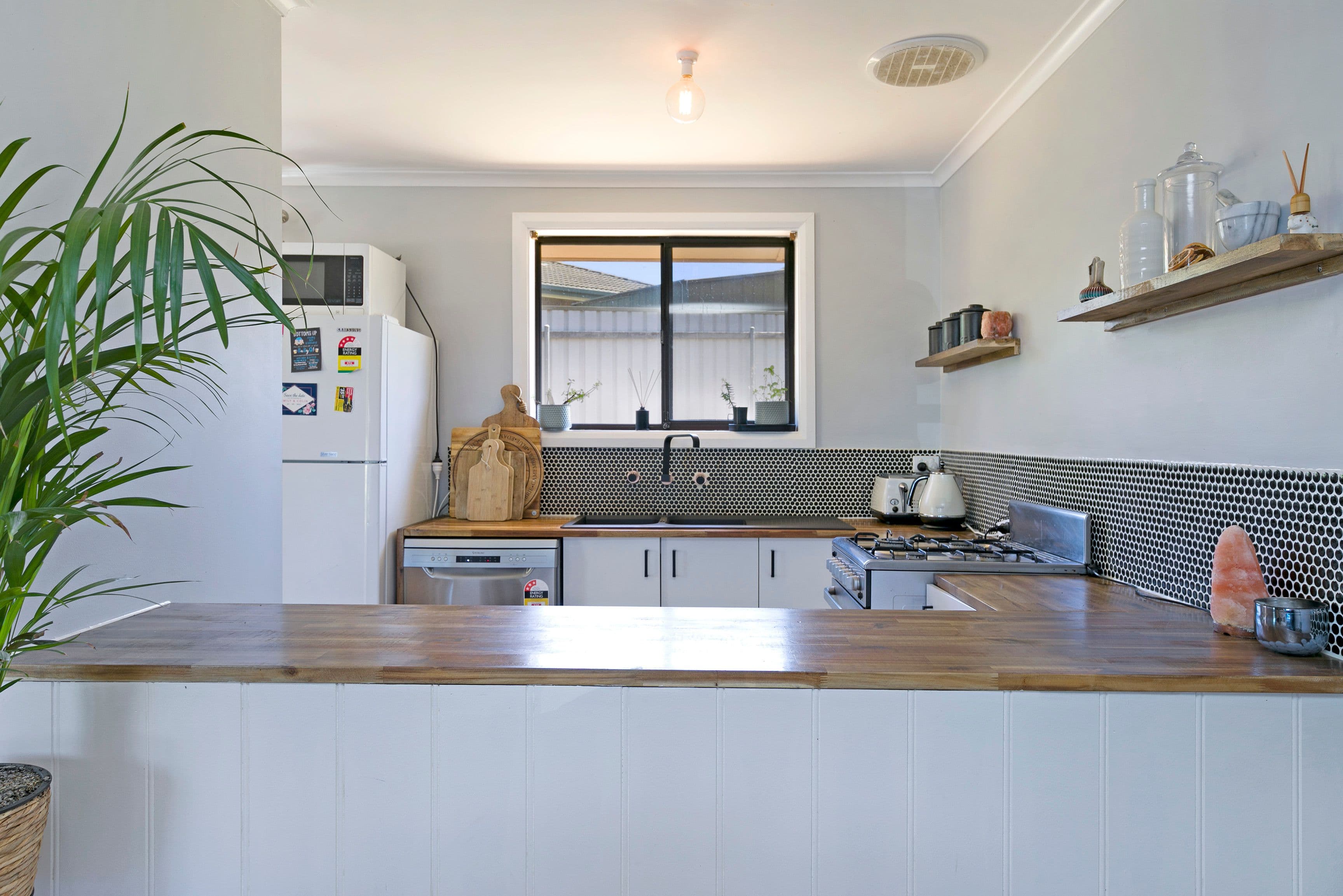 19 Pauline Drive, Surrey Downs SA 5126, Surrey Downs - Thumbnail 2