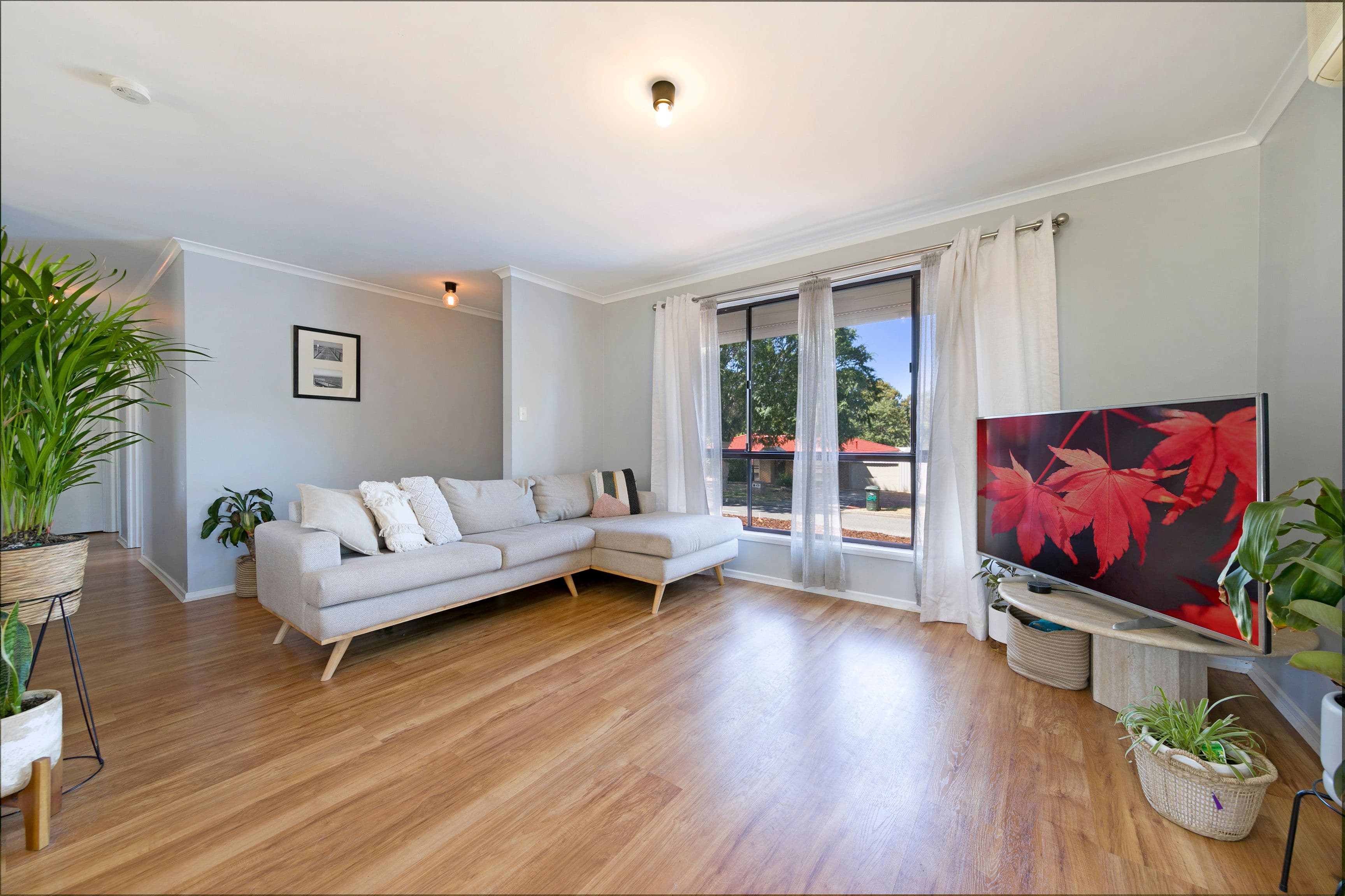 19 Pauline Drive, Surrey Downs SA 5126, Surrey Downs - Thumbnail 5